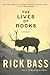 The Lives Of Rocks: Moving Award-Winning Literary Short Stories of Grace and Nature