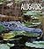 Alligators (Living Wild)