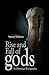 Rise and Fall of Gods: In Historical Perspective