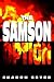 The Samson Option (The Samson Option Series #1)