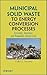 Municipal Solid Waste to Energy Conversion Processes by Gary C. Young