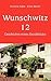 Wunschwitz 12: Geschichte eines Erotikklubs (German Edition)