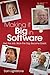 Making it Big in Software: Get the Job. Work the Org. Become Great.