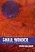 Small Wonder: Global Power and Its Discontents (New Critical Theory)