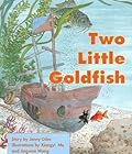 Two Little Goldfish: Individual Student Edition Orange (Levels 15-16)