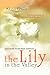 The Lily in the Valley: Discovering Your True Identity