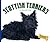 Scottish Terriers (Domestic Dogs, 1269)