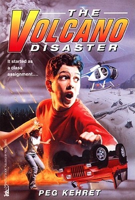 The Volcano Disaster (Disaster Books, #1)