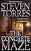 The Concrete Maze by Steven Torres