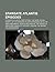 Stargate Atlantis Episodes: Stargate Atlantis, Stargate Atlantis, Stargate Atlantis, Stargate Atlantis, First Strike, the Siege, Rising