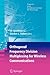 Orthogonal Frequency Division Multiplexing for Wireless Communications (Signals and Communication Technology)