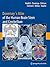 Duvernoy's Atlas of the Human Brain Stem and Cerebellum: High-Field MRI, Surface Anatomy, Internal Structure, Vascularization and 3 D Sectional Anatomy