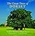 Great Trees of Dorset by Andrew Pollard