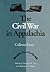 Civil War In Appalachia by Kenneth W. Noe