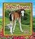 Baby Horses (It's Fun to Learn About Baby Animals)