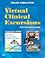 Virtual Clinical Excursions 3.0 for Wong's Nursing Care of Infants and Children