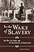 In the Wake of Slavery by Joseph A. Ranney