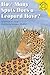 How Many Spots Does A Leopard Have? (Read-It! Readers: Folk Tales)