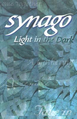 Synago Light in the Dark Student Journal: Student Led Senior High Cell Group (Paperback)