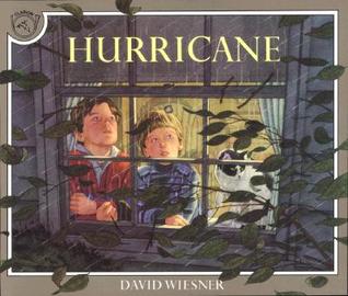 Hurricane (Paperback)