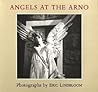Angels at the Arno (Imago Mundi Book)