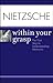 Nietzsche Within Your Grasp