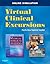 Virtual Clinical Excursions...