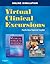 Virtual Clinical Excursions 3.0 for Medical-Surgical Nursing