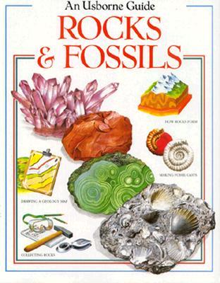 Rocks and Fossils (Paperback)