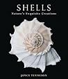 Shells: Nature's Exquisite Creations