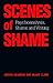 Scenes of Shame by Joseph Adamson