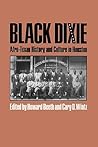 Black Dixie: Afro...