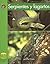 Serpientes y Lagartos / Snakes and Lizards (Yellow Umbrella Books: Science ~ Spanish)