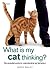 What is my Cat Thinking? by Gwen Bailey