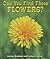 Can You Find These Flowers? (All About Nature)