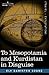 To Mesopotamia and Kurdistan in Disguise