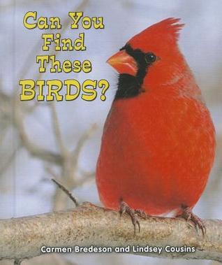 Can You Find These Birds? (All About Nature: Guided Reading, Level E)