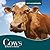 Cows (Animals Animals)