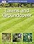 Simple Steps to Success: Lawns and Groundcover