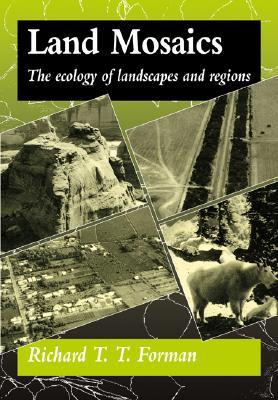 Land Mosaics: The Ecology of Landscapes and Regions (Paperback)