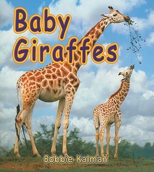 Baby Giraffes (It's Fun to Learn About Baby Animals)