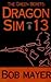 Dragon Sim-13 (The Green Berets #2; Dave Riley #2)