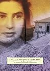 I Will Plant You a Lilac Tree by Laura Hillman