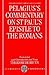 Pelagius's Commentary On St...