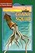 Giant Squid: Mystery of the Deep (American Museum of Natural History)