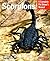Scorpions: Everything About...