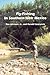 Fly-Fishing in Southern New...