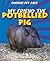 My Friend the Potbellied Pig (Curious Pet Pals)