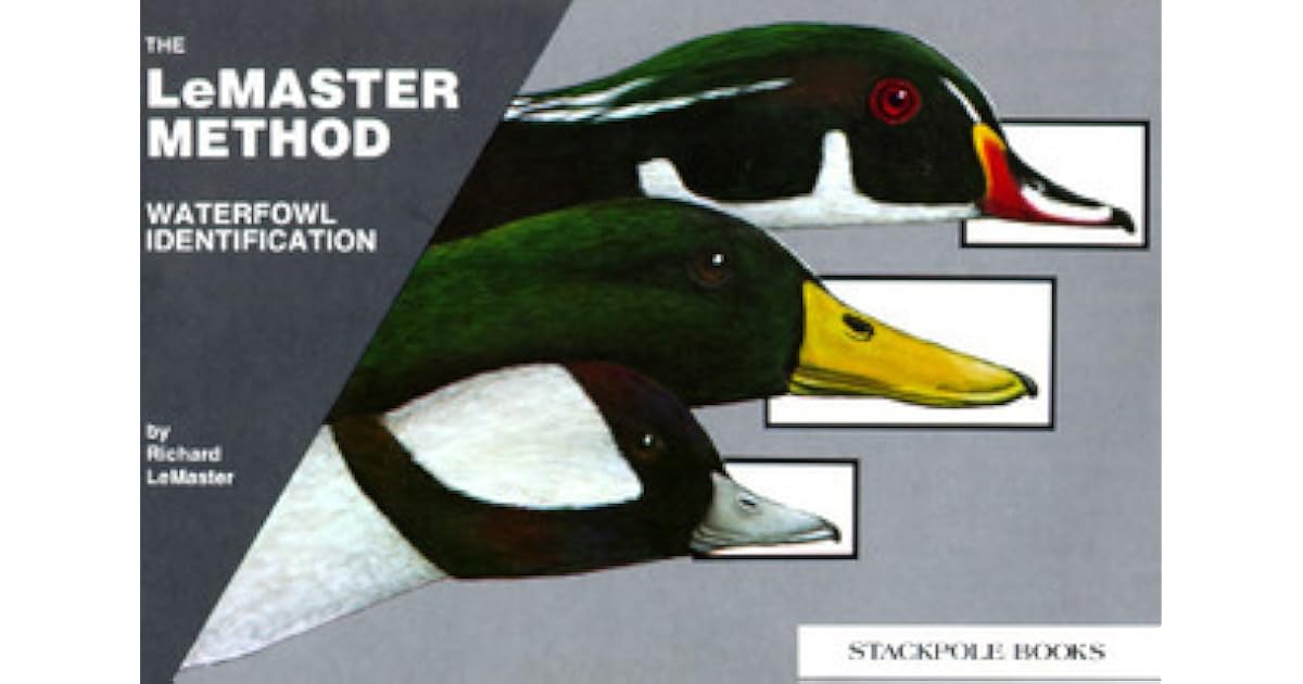 Waterfowl Identification By Richard Lemaster