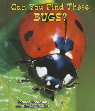 Can You Find These Bugs? (All About Nature)